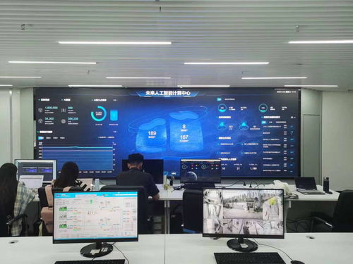西部“最強(qiáng)大腦” 以智能算力驅(qū)動(dòng)人工智能應(yīng)用軟件開發(fā)，引領(lǐng)產(chǎn)業(yè)能級躍升