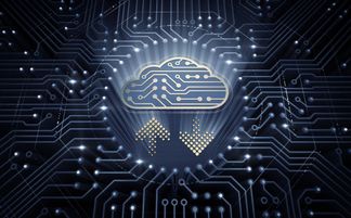 Radware云端原生數(shù)據(jù)泄露事件解析 人工智能應(yīng)用軟件開發(fā)的警鐘